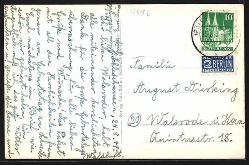 AK Schledehausen / Bissendorf, Blick auf den Ort mit Kühen