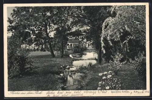 AK Bad Hermannsborn, Partie aus dem Park