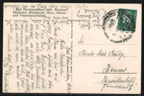 AK Bad Hermannsborn, Partie aus dem Park