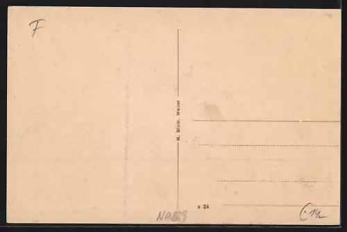 AK Frapelle, Panorama