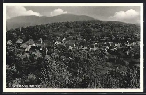 AK Tischardt /Nürtingen, Gesamtansicht