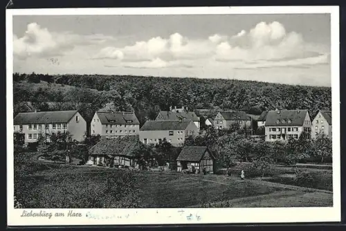 AK Liebenburg a. Harz, Ortsansicht vom Feld aus