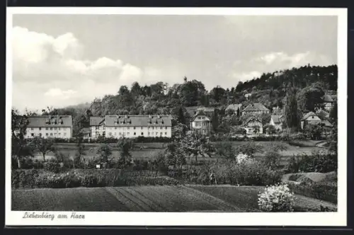 AK Liebenburg, Totalansicht