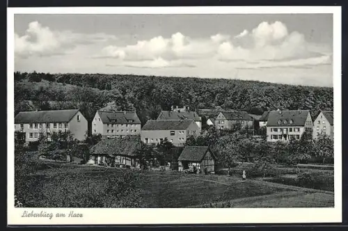 AK Liebenburg a. Harz, Ortsansicht gegen den Wald