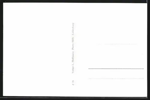 AK Liebenburg a. Harz, Ortsansicht gegen den Wald