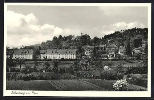 AK Liebenburg, Totalansicht