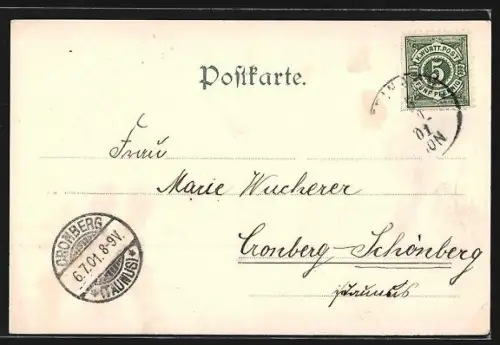 AK Teinach, Ortsansicht mit Zavelstein aus der Vogelschau