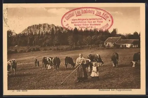 AK Poppenhausen /Rhön, Blick auf die Steinwand, Im Vordergrund weidende Kuhherde