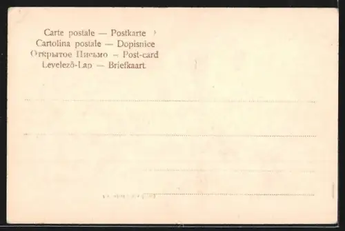 AK Überlingen / Bodensee, Dampfschifflandeplatz