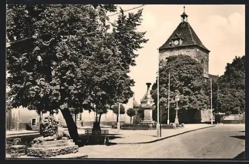AK Nebra /Unstrut, Markt mit Löwenplastik und Denkmal