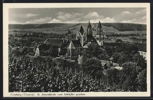 AK Freyburg /Unstrut, St. Annenkirche vom Schlüfter gesehen, Im Vordergrund Weinberg