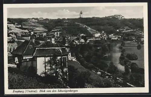 AK Freyburg /Unstrut, Blick auf den Ort von den Schweigenbergen