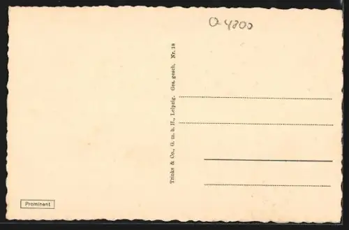 AK Naumburg an der Saale, Gesamtansicht mit Naumburger Dom