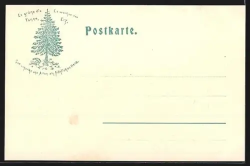 AK Wernigerode a. Harz, Blick auf das Schloss vom Tal aus