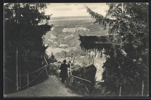 AK Ilsenburg a. Harz, Blick von der Bäumler`s Klippe
