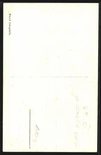 AK Stara Boleslav, Vnitrek Chrámu P. Marie