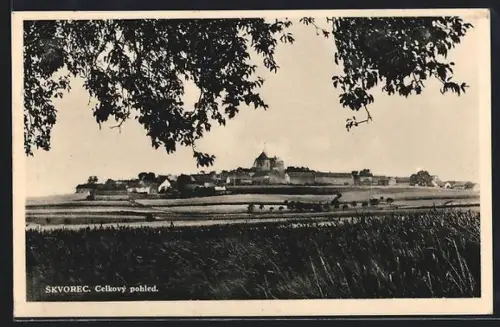 AK Skvorec, Celkový pohled