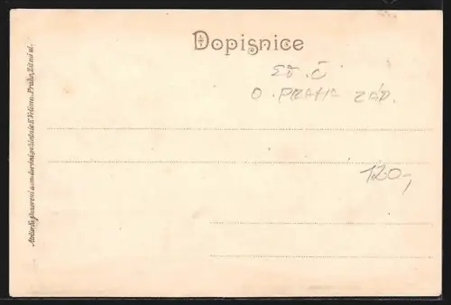 AK Libice n. Vl., Celkový pohled