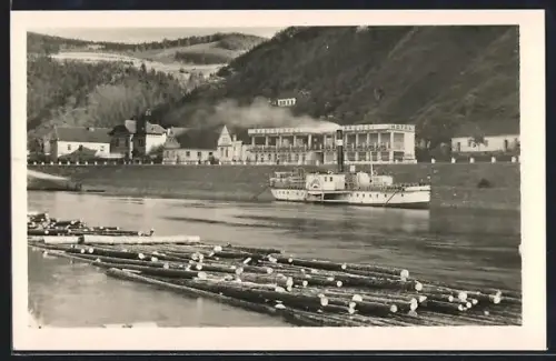 AK Stechovice, Baumstämme auf Wasser mit vorbeifahrendem Dampfer, Restaurant und Hotel