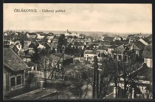 AK Celákovice, Celkový pohled