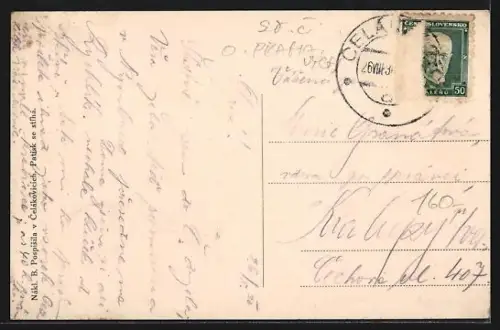 AK Celákovice, Celkový pohled