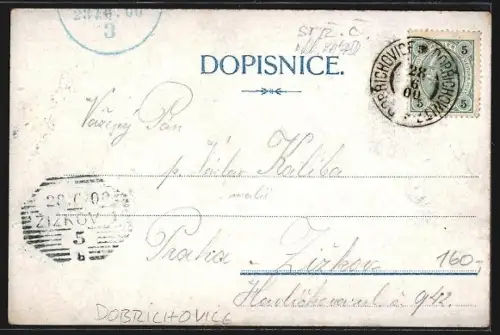 AK Dobrichovice, Panorama