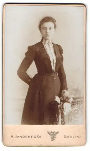 Fotografie A. Jandorf & Co, Berlin, Spittelmarkt 16/17, Dame in eleganter Kleidung