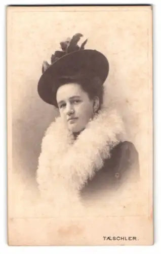 Fotografie Tæschler, St. Gallen, Elegante Dame mit Hut im November 1900