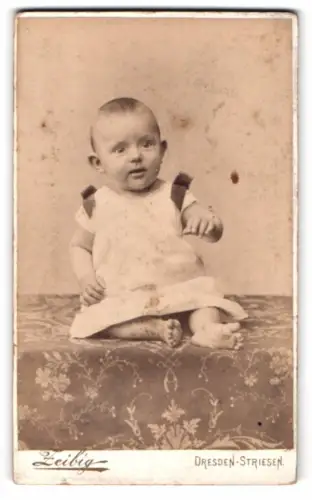 Fotografie Zeibig, Dresden-Striesen, Strasse J 39, Kleinkind auf dekorativem Tuch