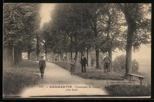 AK Dammartin, Promenades du Château, côté Nord