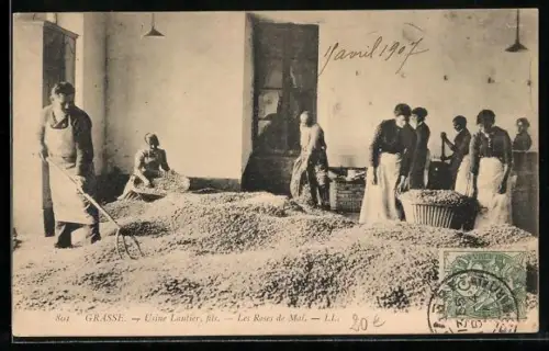 AK Grasse, Usine Lautier, fils, Les Roses de Mai