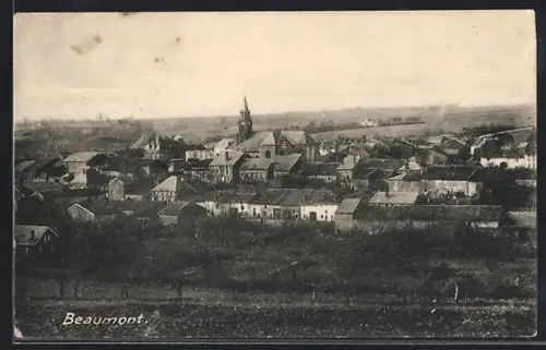 AK Beaumont, Vue panoramique du village