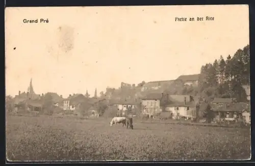 AK Grand Pré, Vue sur le pâturage avec chevaux près des maisons du village