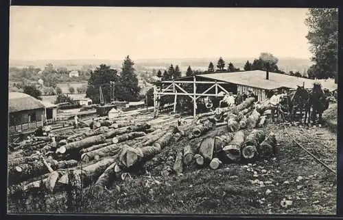 AK Launois-sur-Vence, Scierie avec piles de bois et chevaux à l`oeuvre