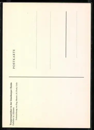 Künstler-AK Walsrode-Ahrsen, Hof Gehrke mit Treppenspeicher in der Lüneburger Heide