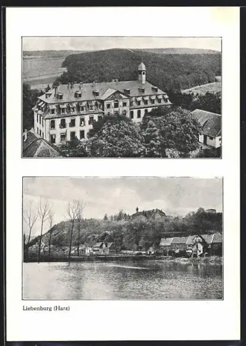 AK Liebenburg /Harz, Schloss, Ortsansicht
