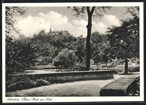 AK Liebenburg /Harz, Partie am Teich