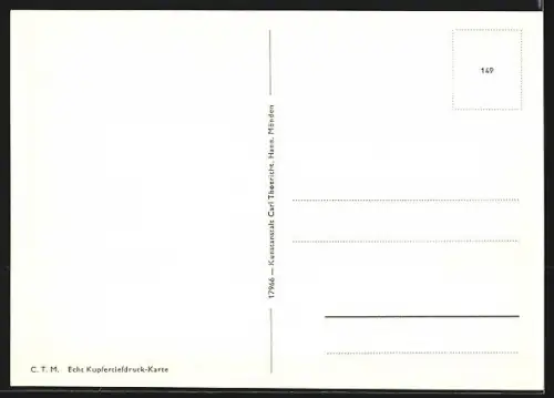 AK Liebenburg /Harz, Partie am Teich