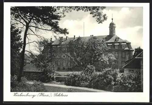 AK Liebenburg /Harz, Schloss