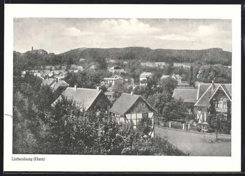 AK Liebenburg /Harz, Ortsansicht mit Fachwerkhäusern und Burg
