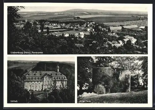 AK Liebenburg /Harz, Panorama, Schloss, Alter Turm