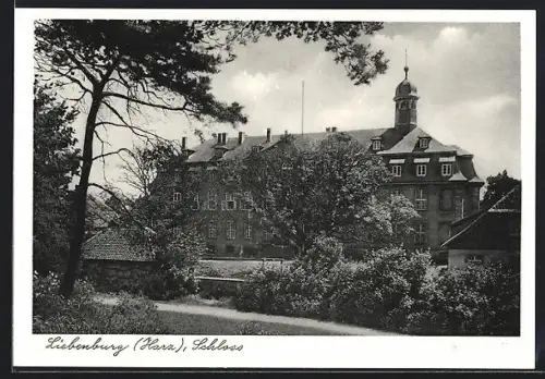 AK Liebenburg /Harz, Schloss