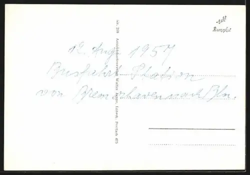 AK Tewel /Lüneburger Heide, Gasthaus H. Lemmermann, Butenmühlenteich, Ehrenmal, Schule