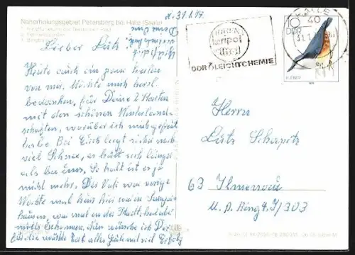 AK Petersberg bei Halle, Aussichtsturm, Gasthaus, Schwimmbad