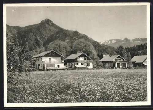 AK Lenggries, Bauernhäuser vor Bergkulisse mit Geigerstein