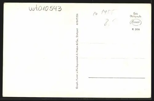 AK Ortenberg i. Baden, Ortsansicht, im Hintergrund Offenburg