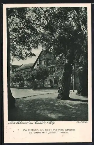 AK Oestrich a. Rh., Gasthaus Zum Schwanen