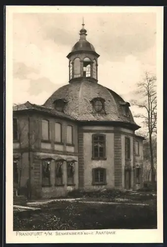 AK Frankfurt-Sachsenhausen, Senckenberg`sche Anatomie
