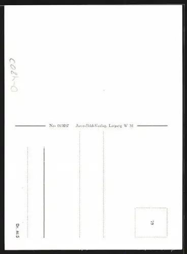 AK Naumburg a. d. Saale, Dom