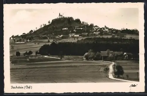 AK Parkstein, Ortspanorama